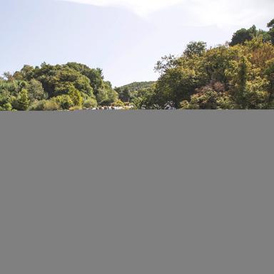 Rain Sound: Summer Rain Showers