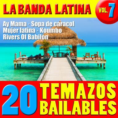 20 Temazos Bailables Vol. 7