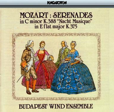 Serenade No. 12 in C Minor, K. 388: II. Andante