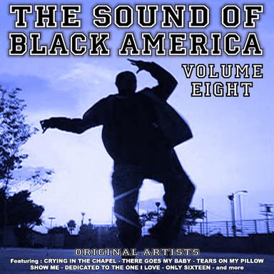 The Sound of Black America Vol 8
