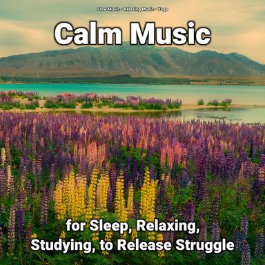 Great Ambient Sounds for Serene Sleep