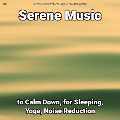 Pleasant Relaxation Music