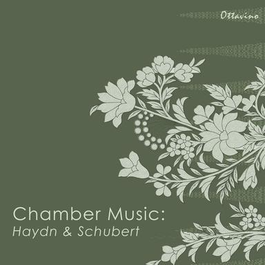 String Quartet No. 8 in B-Flat Major, D. 112: IV. Presto