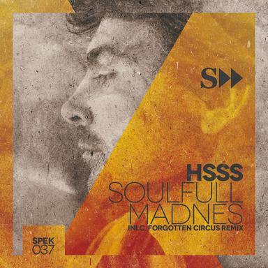 Soulfull Madnes - Forgotten Circus Remix
