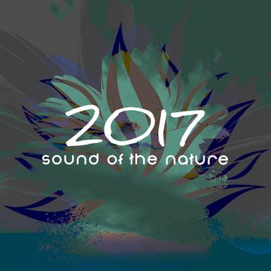 Raining Raining Raining