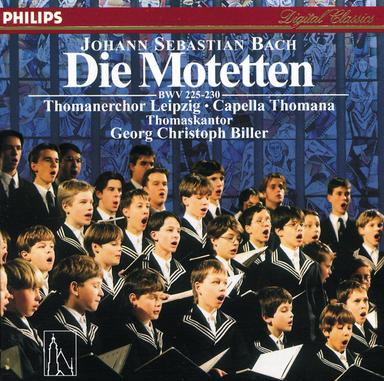 Lobet den Herrn, alle Heiden Motet, BWV 230