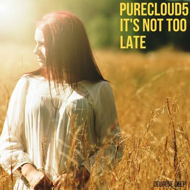 It's Not Too Late - Radio Edit