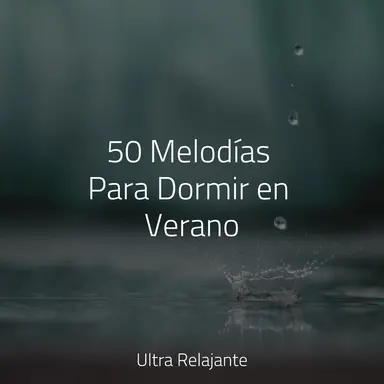 Estepas Universales