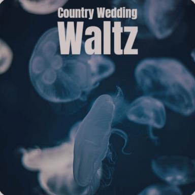 Ride the Waves Underscore