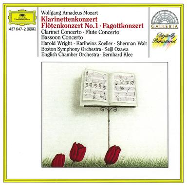 Flute Concerto No.1 in G, K.313: 3. Rondo (Tempo di Menuetto)