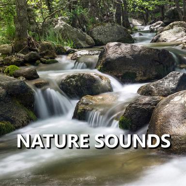 Nature Sounds