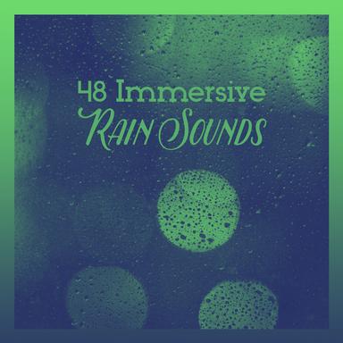 Downpour in the Yard