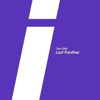 Last Panther - Mihalis Safras Remix