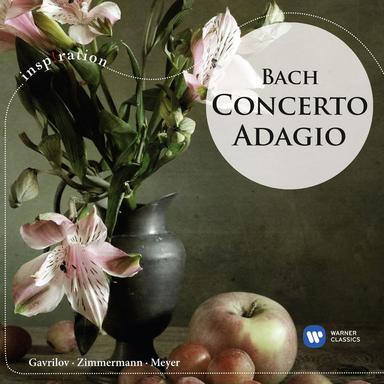 Bach, JS: Violin Concerto No. 1 in A Minor, BWV 1041: II. Andante