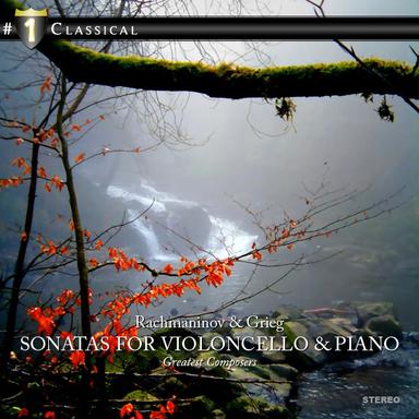 Sonata in A Minor for Cello and Piano, Op. 36: III. Allegro
