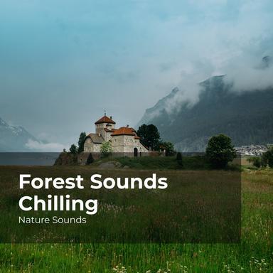 Thick Trees All Around