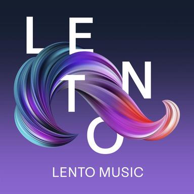 Flute Concerto in D Major, Op. 283: II. Lento e mesto