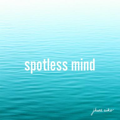 Spotless Mind