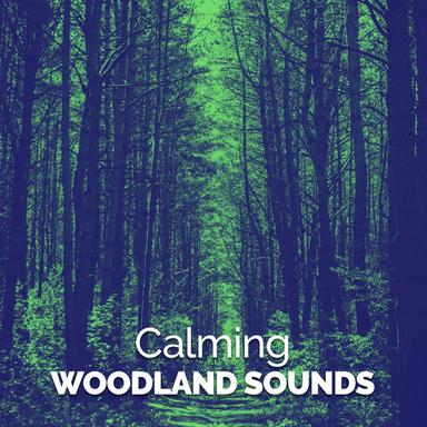Stream Song