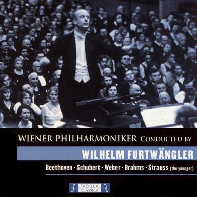 Hungarian Dances, woO 1: No. 1 in G Minor, Allegro molto