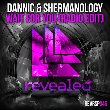 Wait For You - Radio Edit