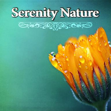 Nature Sounds Relaxation