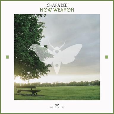 Now Weapon - Original Mix
