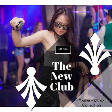The New Club - Chillout Music Collection