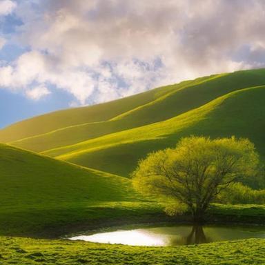 Great Hights