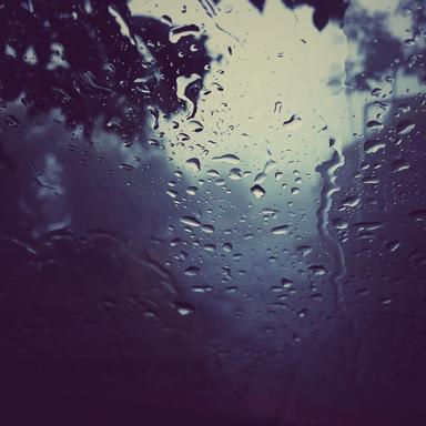 Whistling Trees