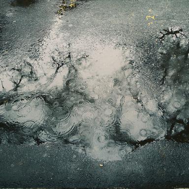 Rainy Day Rhapsody
