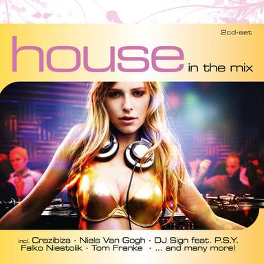 Ich Hab Einen Plan - Robbie Miraux Clubmix