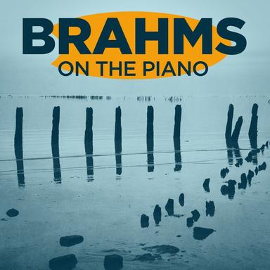 Waltzes, Op. 39: No. 4 in E Minor