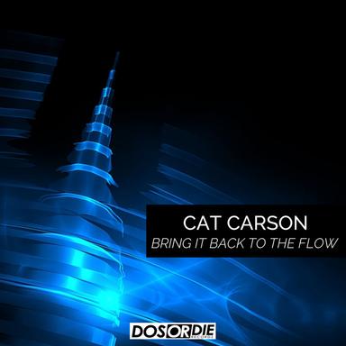 Bring It Back to the Flow - Radio Edit