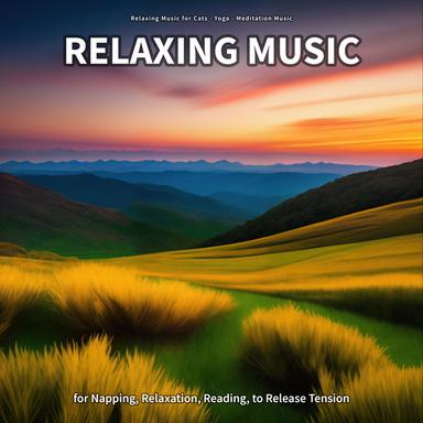Background Music