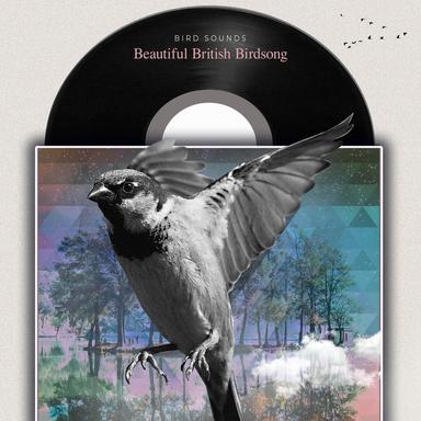 Bliss Nature Reserve