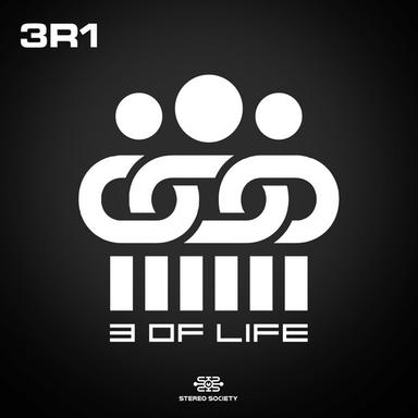 3L