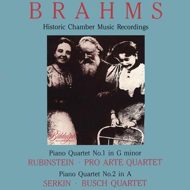 Piano Quartet No. 1 in G Minor, Op. 25: I. Allegro