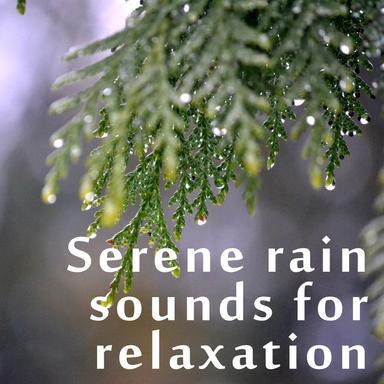 Zen Rain