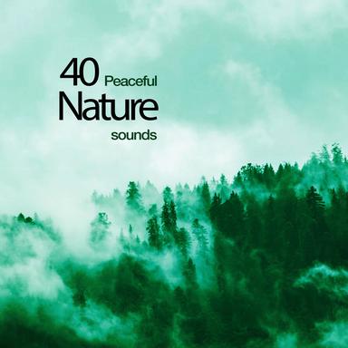 40 Peaceful Nature Sounds