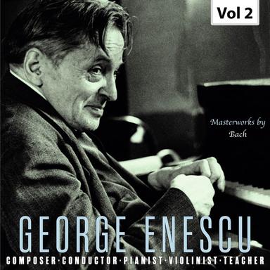 Violin Concerto in A Minor, BWV 1041: II. Andante