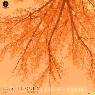 Seeds of Change - Daze Foxx Remix