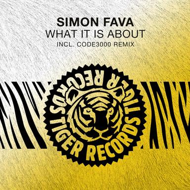 What It Is About - Code3000 Radio Edit