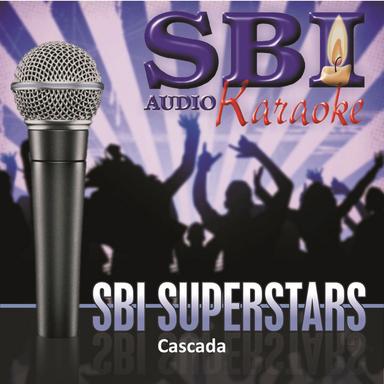 What Do You Want from Me (Karaoke Version)