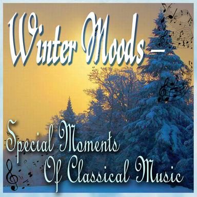 Winter Moods - Special Moments Of Classical Music
