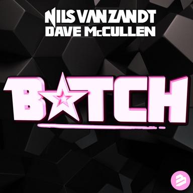Bitch - Radio Edit
