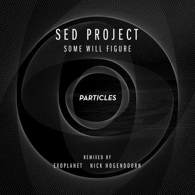 Some Will Figure - Nick Hogendoorn Remix