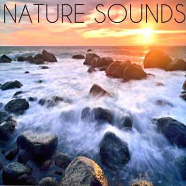 Night Time Sleep Waves