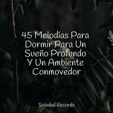 Domingo Relajado
