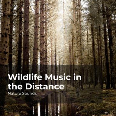 Captivating Wilderness